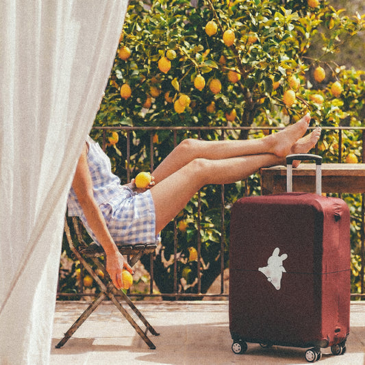 Travel Luggage Cover